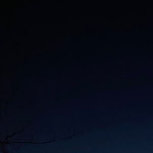 Meet your Posher, Jane